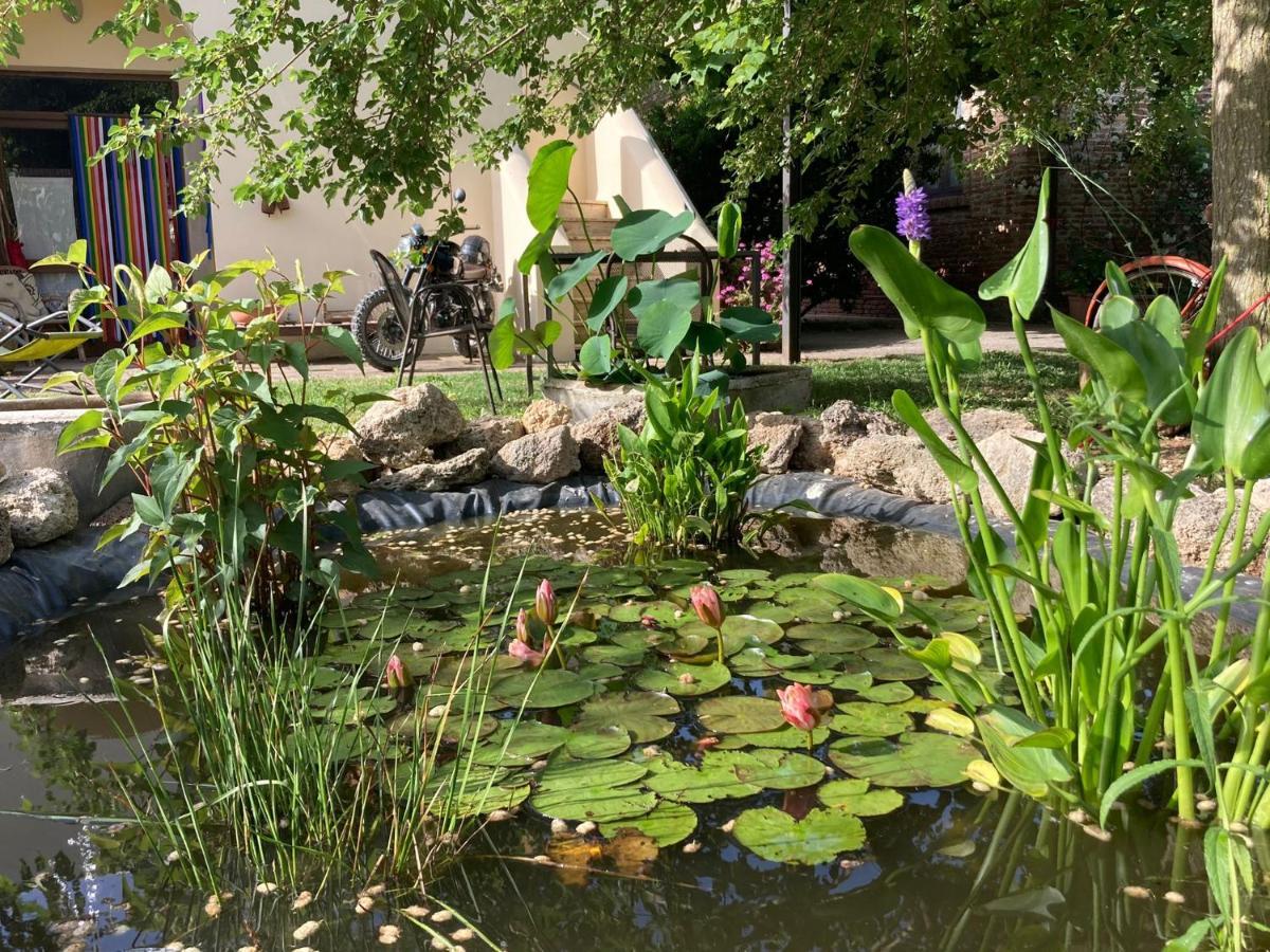 Casa Del Geco Bed & Breakfast Paestum Exterior photo